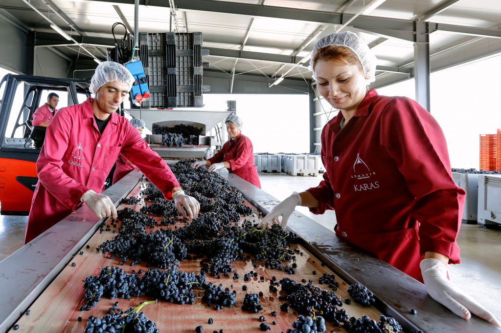 Wijn van Karas Wines kopen in Nederland en België