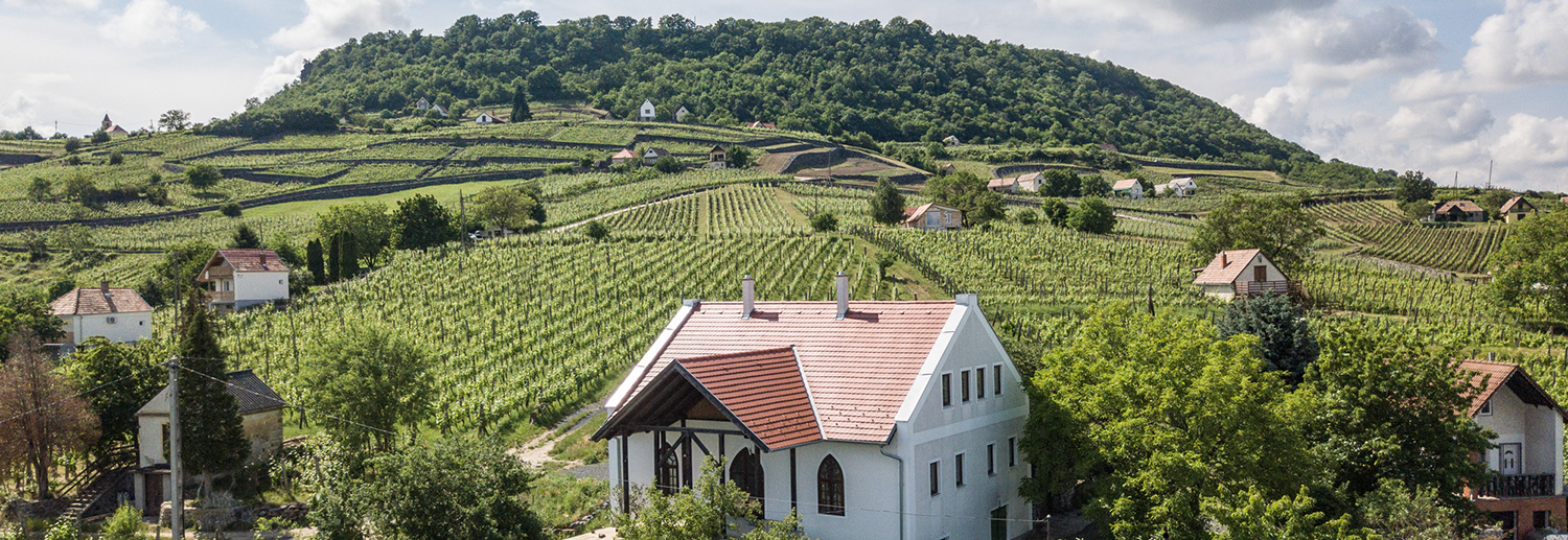 Import wine made by Somlói Apátsági Pince